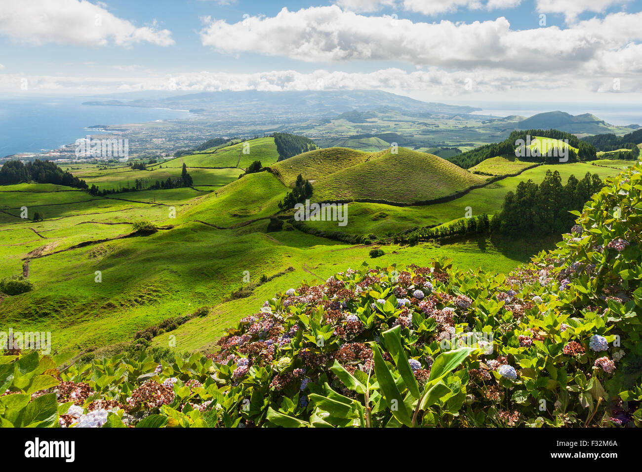 Colline e campi del paesaggio in Sao Miguel, Isole Azzorre Foto Stock