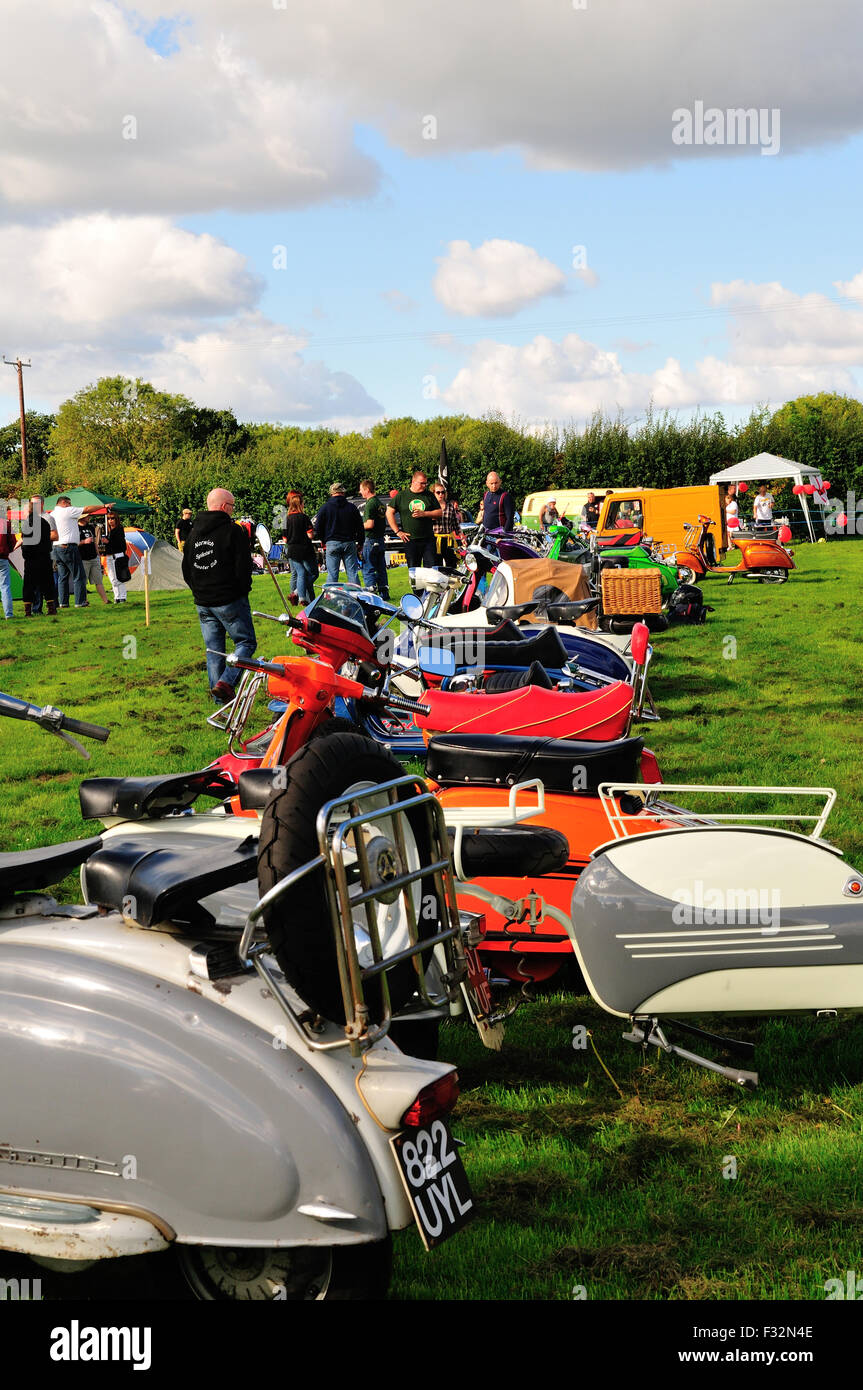 Vespa Foto Stock