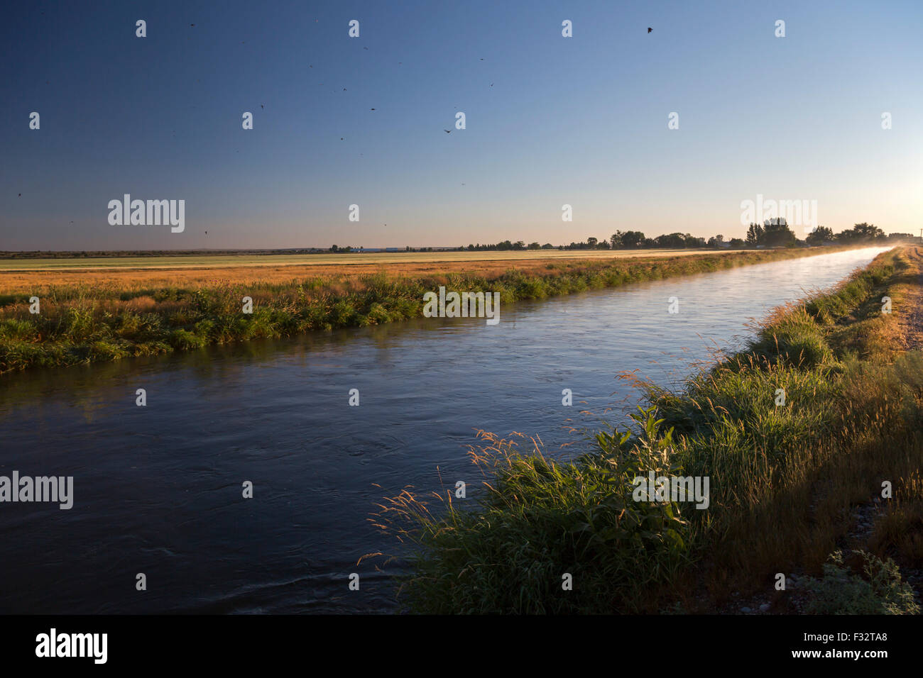 Moreland, Idaho - canale di irrigazione. Foto Stock