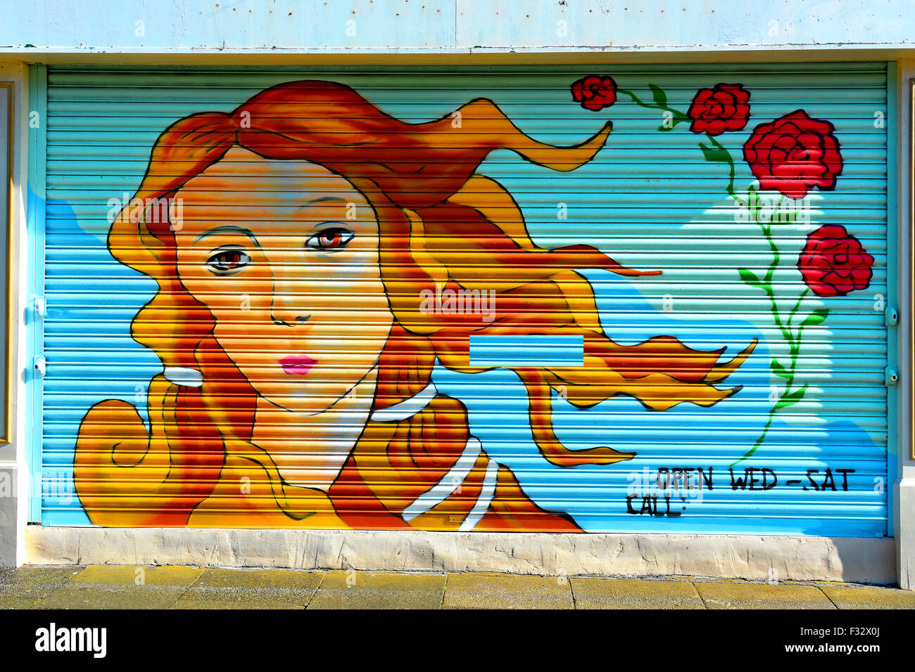 Ragazza, testa, parrucchiere, rose rosse, rullo porta, metallo, marrone capelli, blu, grandi occhi, lunghi capelli capelli fluenti Foto Stock