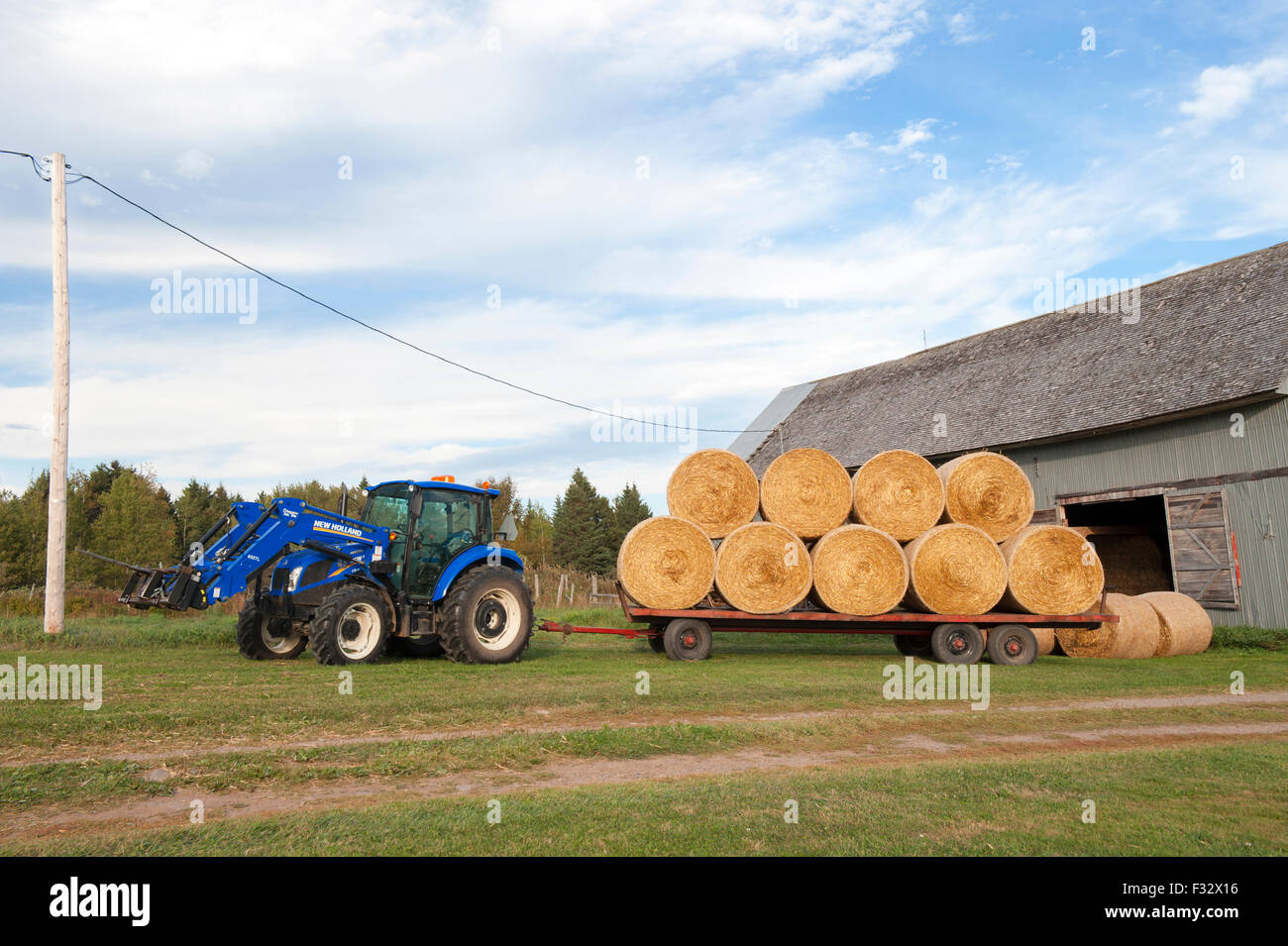 Le balle di fieno in una fattoria del carro. Kamouraska regione, provincia del Québec in Canada. Foto Stock