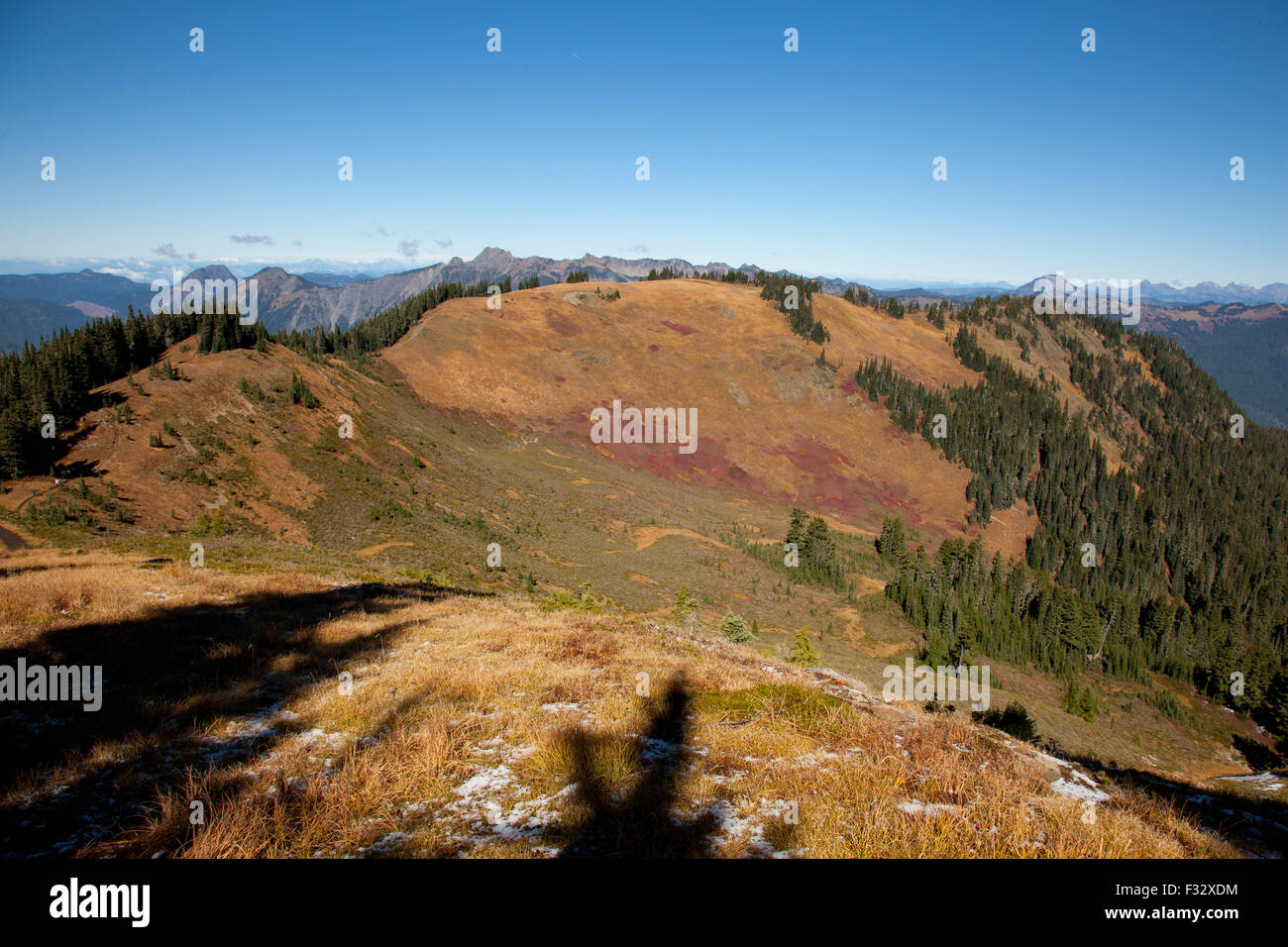 Skyline Divide Trail nel North Cascades, Washington, Stati Uniti d'America. Foto Stock