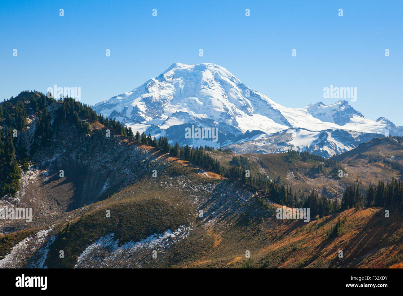 Mount Baker (Native American: La corale Kulshan) ricoperta di neve come si vede dalla Skyline Divide Trail nel North Cascades, Washington. Foto Stock