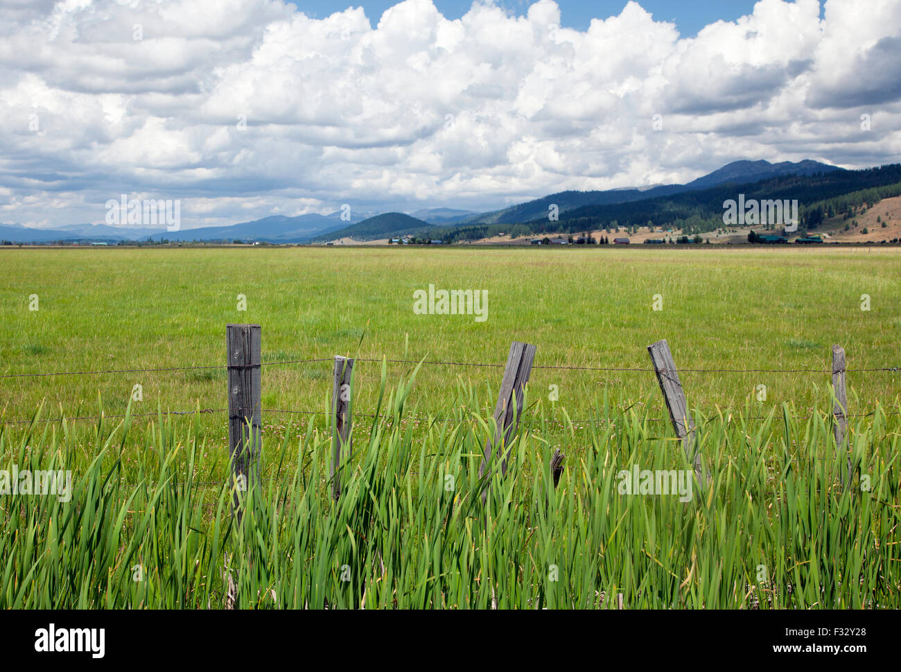Prato e legno post recinzione in Valle County, Idaho, estate 2015. Foto Stock