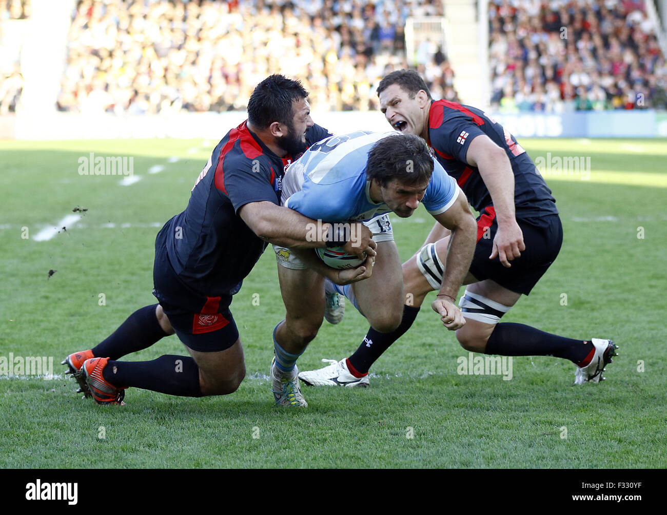 Gloucester, Regno Unito. Xxv Sep, 2015. GLOUCESTER - 25 settembre: Argentina Marcelo Bosch fermati a breve della linea durante il 2015 Rugby World Cup match tra Argentina e la Georgia che si terrà al Kingsholm in Gloucester. L'Argentina ha sconfitto la Georgia 54-9.Photo credit: Andrea, Patrono/Zuma Newswire © Andrew patrono/ZUMA filo/Alamy Live News Foto Stock