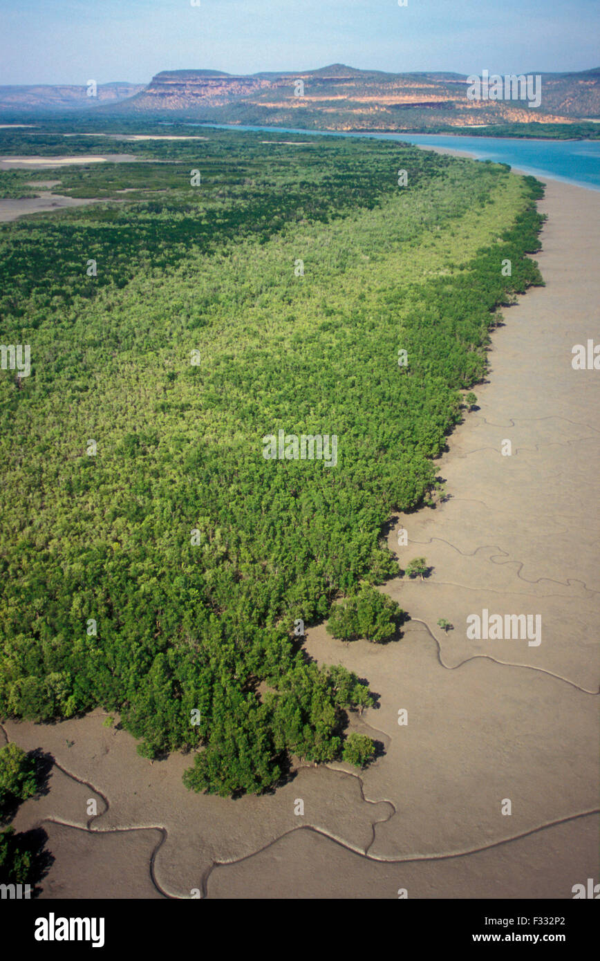 Veduta aerea del fiume Mitchell (MITCHELL PLATEAU) KIMBERLEY, Australia occidentale Foto Stock