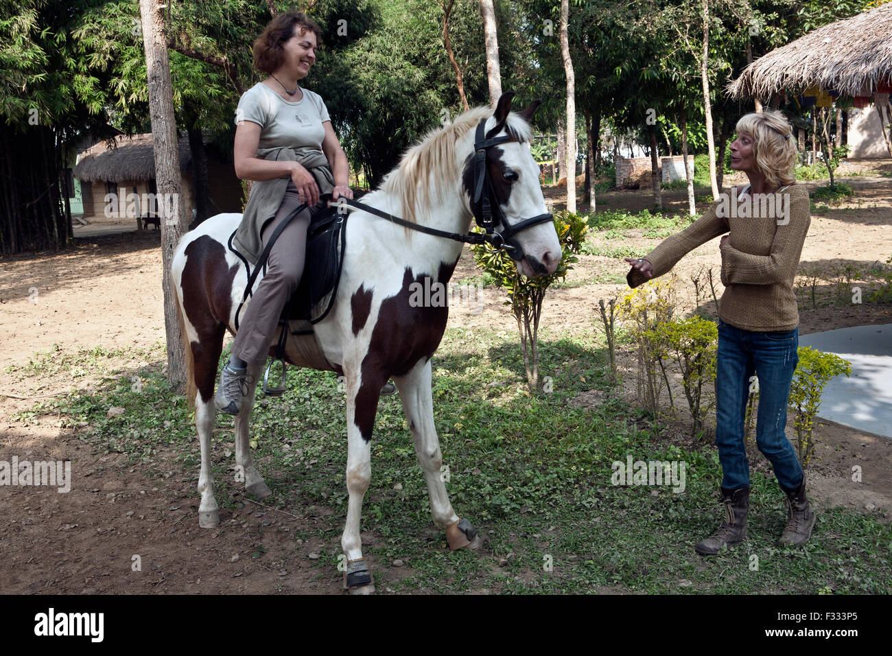 Ammira la donna cavallo bellissimo prima della corsa Foto Stock