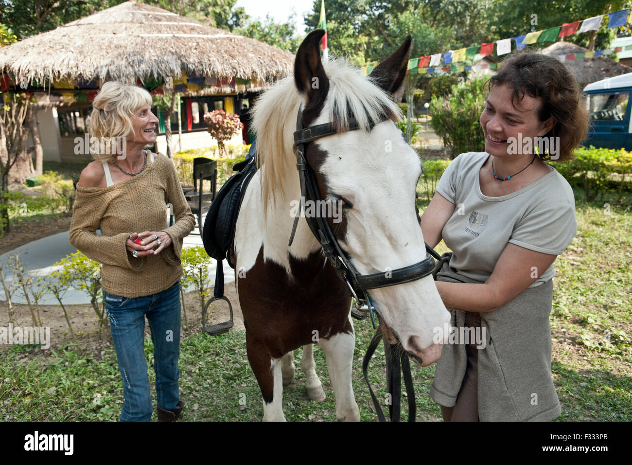 Ammira la donna cavallo bellissimo prima della corsa Foto Stock
