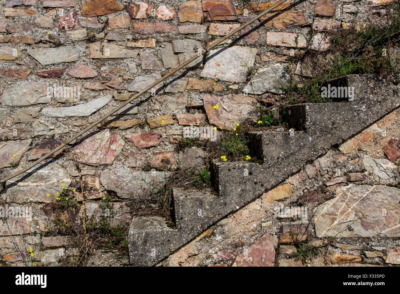 La pietra naturale in muratura, in un vigneto, Rudesheim, valle del Reno, Germania Foto Stock