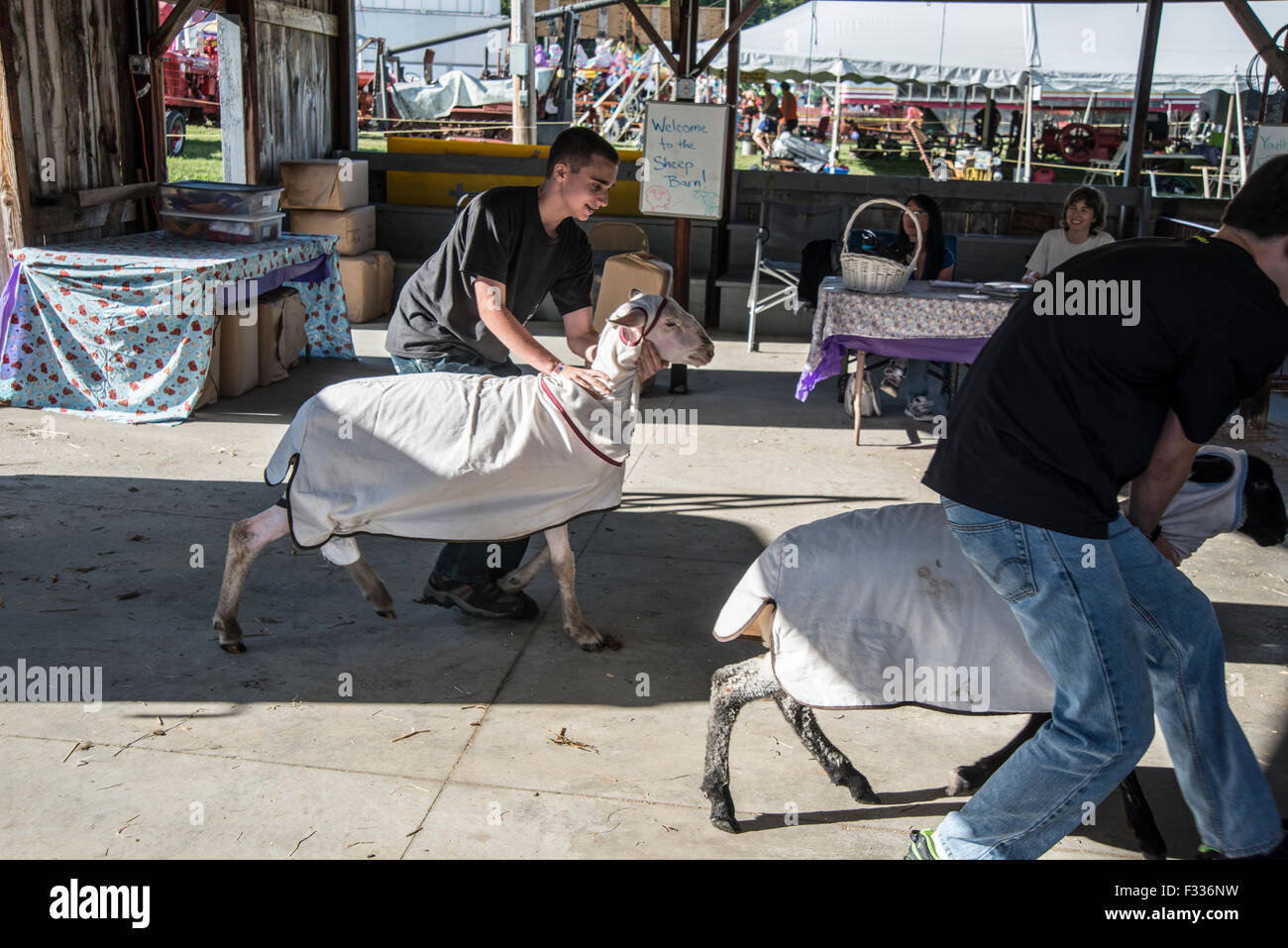 Fiera Cummington apre ogni agosto, una cittadina nella contea di Hampshire, Massachusetts Foto Stock