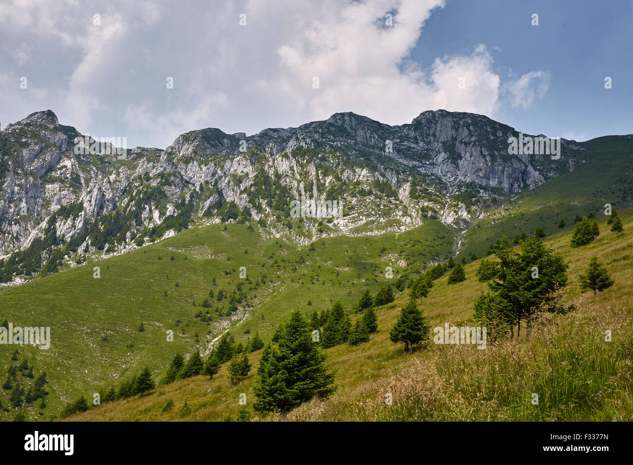 Paesaggio con montagne e pini e foreste Foto Stock