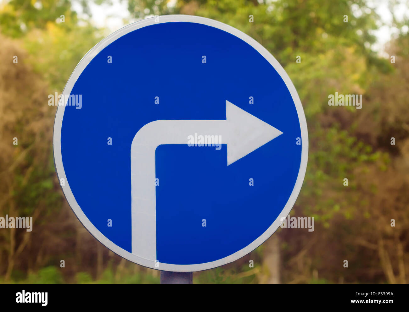 Cartello stradale in forma di un cerchio blu con una freccia bianca che  indica la torsione consentito sull'autostrada Foto stock - Alamy