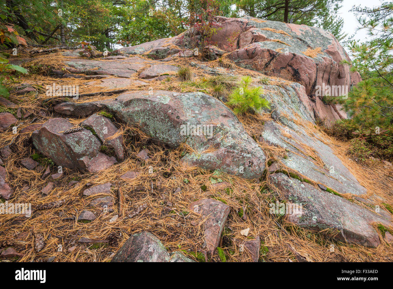 Vista ravvicinata delle strutture geologiche e pietre rosa a Killarney Provincial Park, Canada Foto Stock