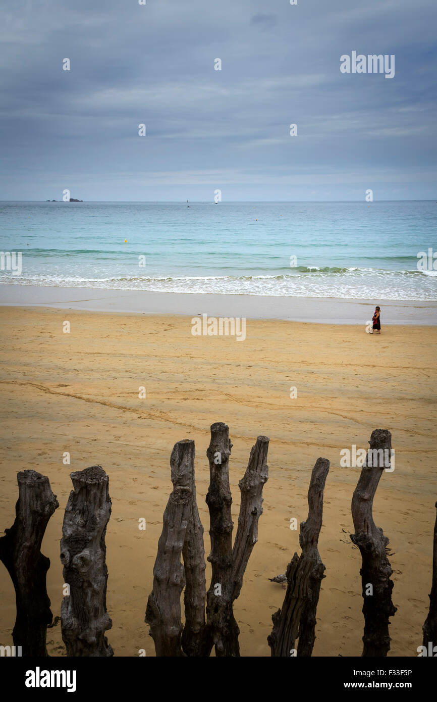 Barriera di posti di legno su una spiaggia, Saint-Malo, Brittany, Francia. Foto Stock
