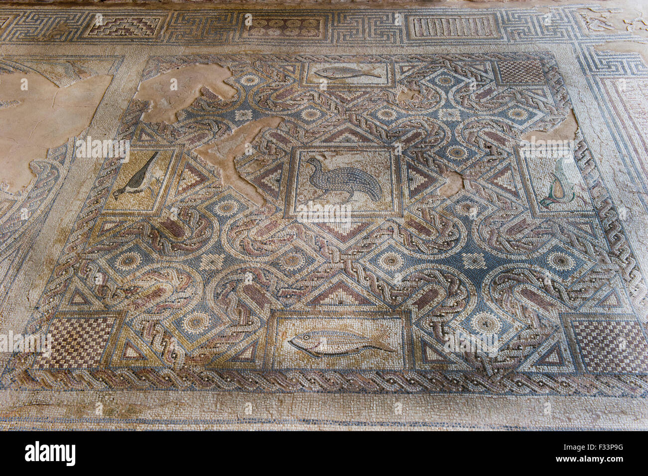 Dei primi Cristiani mosaico raffigurante un faraone nel suo centro il testo recita ' i mosaici a Eustolios complesso in Kourion, Cipro Foto Stock