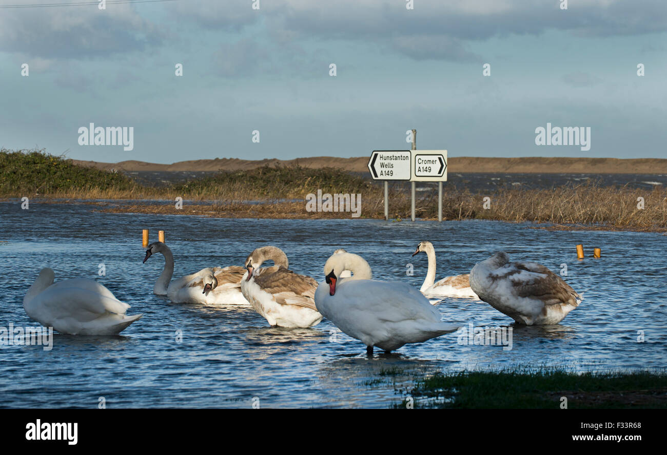 Salthouse allagata dopo la mareggiata di notte del 5 dicembre 2013 Norfolk Foto Stock