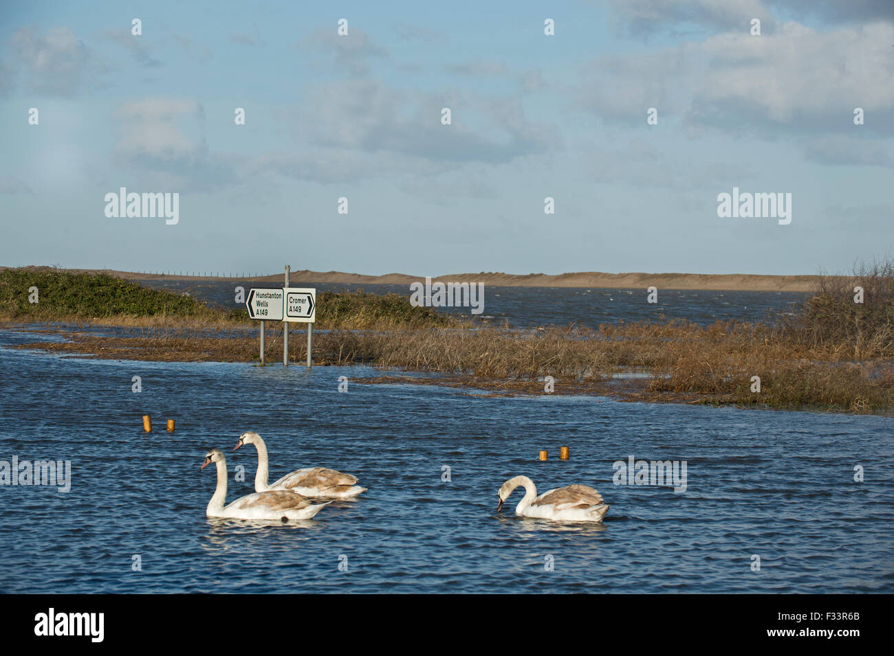 Salthouse allagata dopo la mareggiata di notte del 5 dicembre 2013 Norfolk Foto Stock