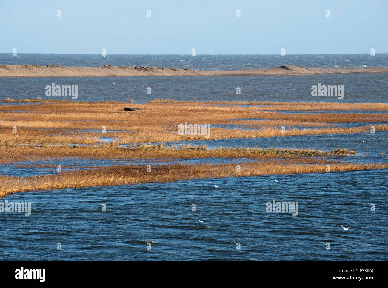 Cley & Salthouse paludi allagata dopo la mareggiata di notte del 5 dicembre 2013 Norfolk Foto Stock