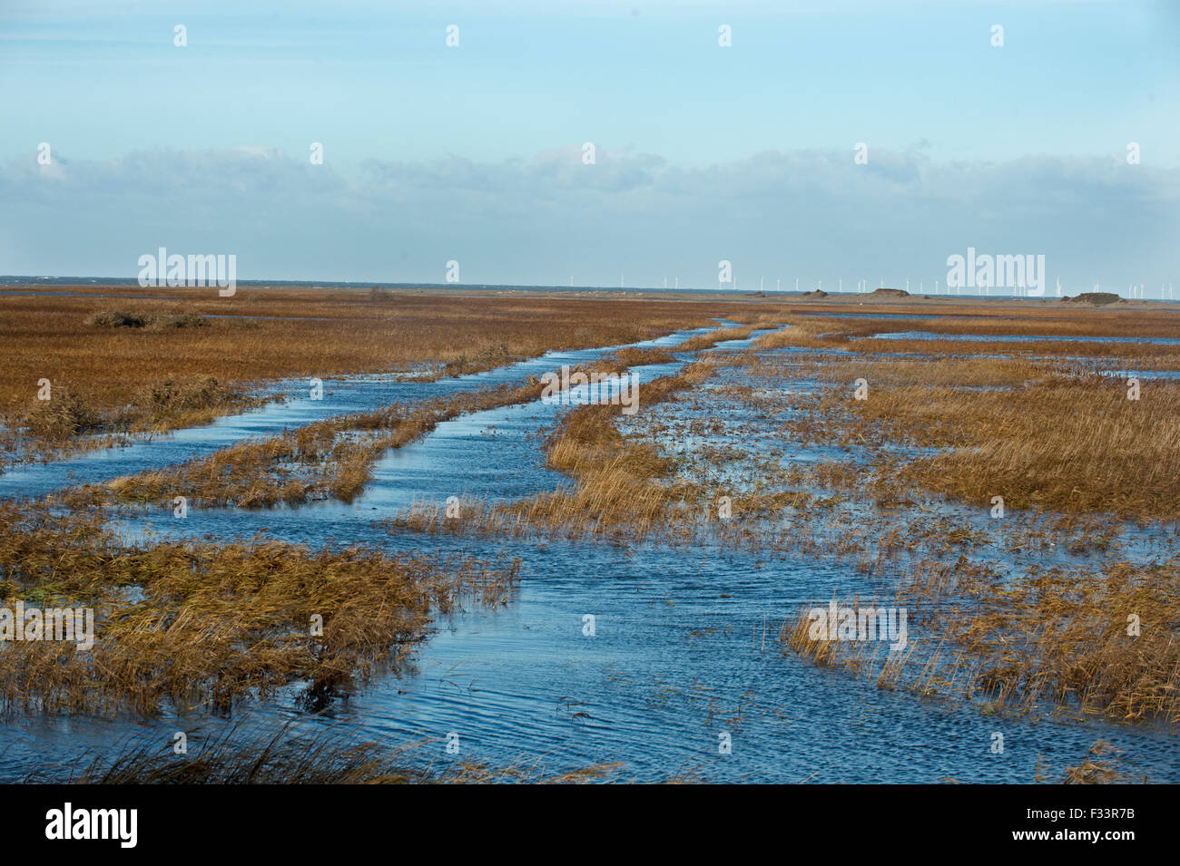 Cley paludi allagata dopo la mareggiata di notte del 5 dicembre 2013 Norfolk, vista lungo la sponda Est Foto Stock