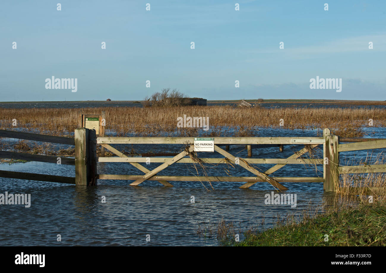 Cley paludi allagata dopo la mareggiata di notte del 5 dicembre 2013 Norfolk, vista lungo la sponda Est Foto Stock