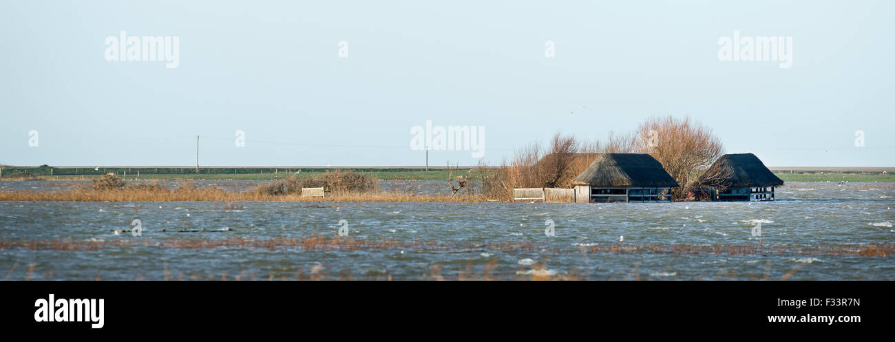 Cley paludi allagata dopo la mareggiata di notte del 5 dicembre 2013 Norfolk, vista lungo la sponda Est Foto Stock