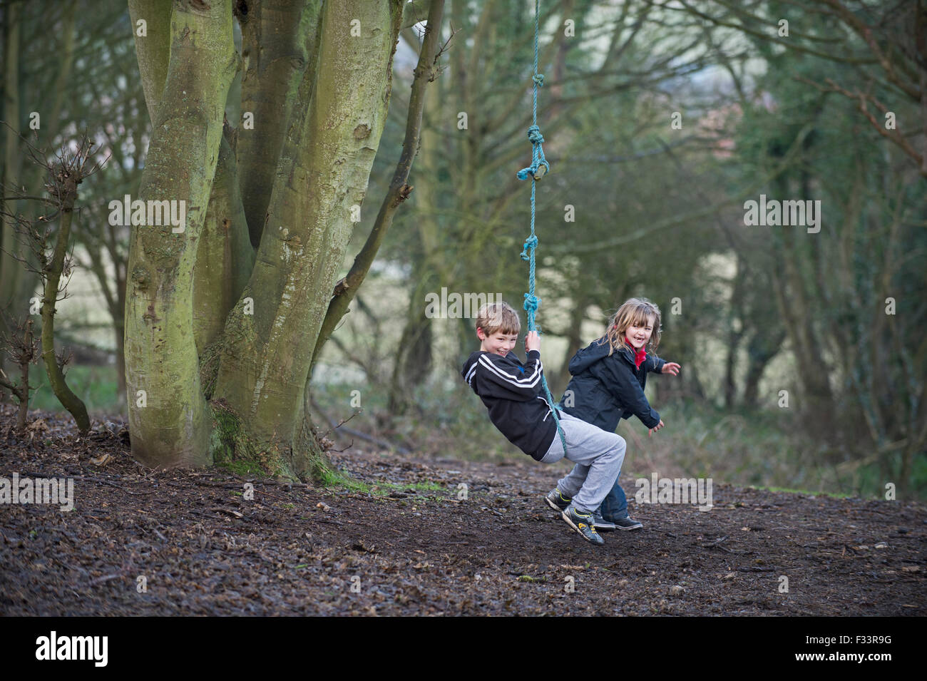 Bambini che giocano su una corda swing in foresta NORFOLK REGNO UNITO Foto Stock