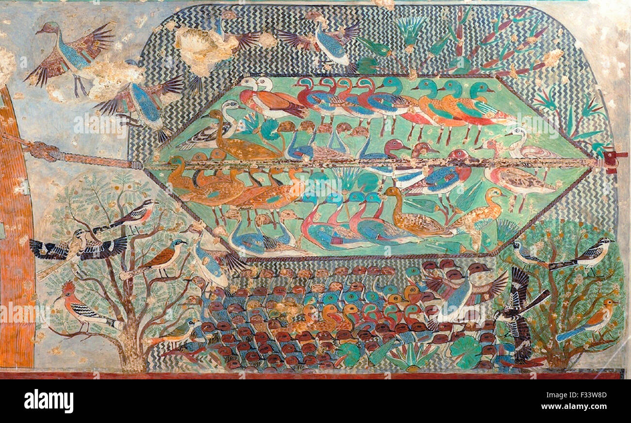 L'egiziana antica tomba dipinta cappella di Khnumhotep ll dotato notevolmente accurato immagini di uccelli che includono Shri mascherato Foto Stock
