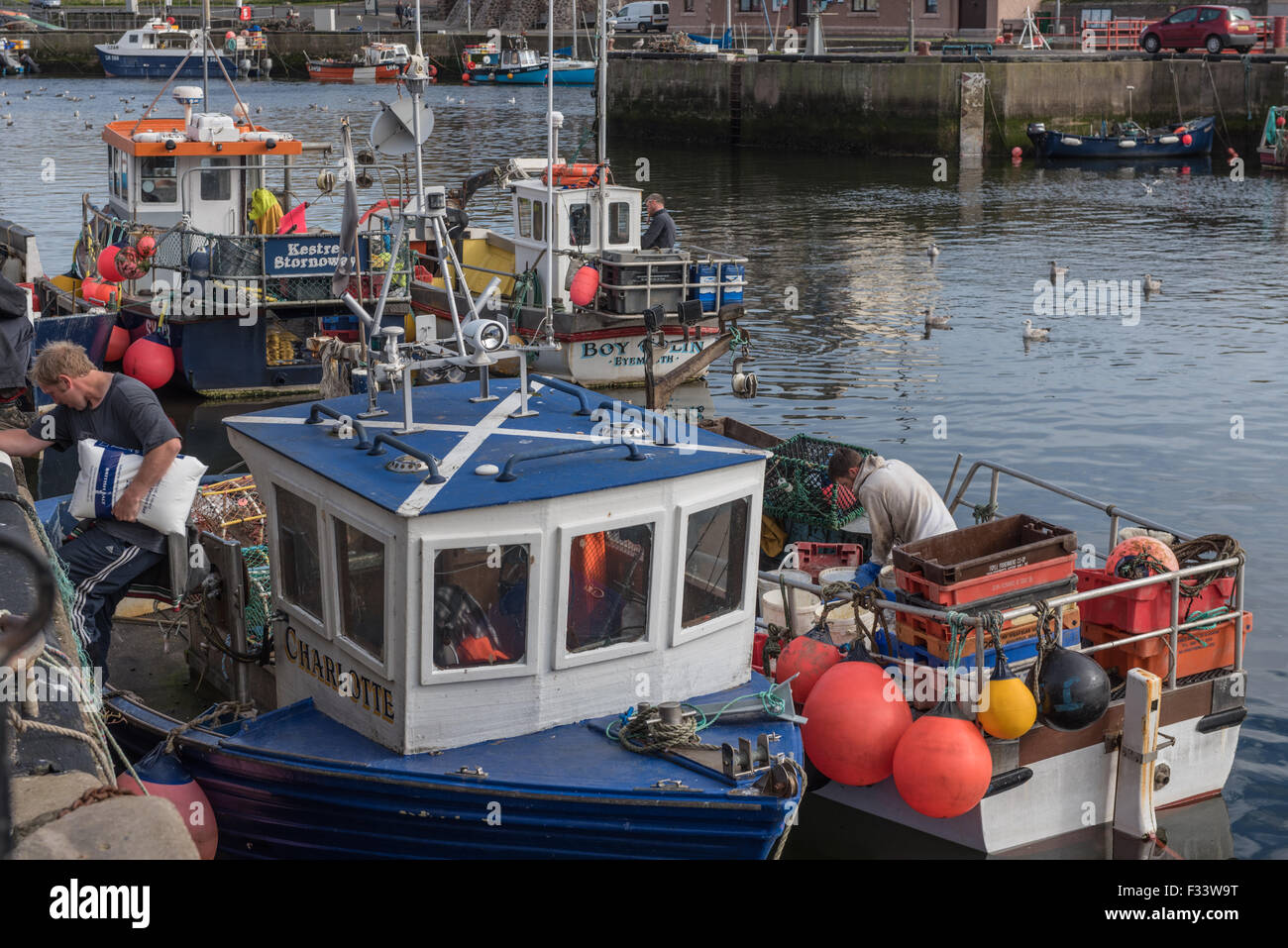 Il porto a Eyemouth Berwickshire in Scozia Foto Stock