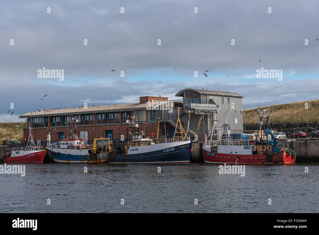 Il porto a Eyemouth Berwickshire in Scozia Foto Stock