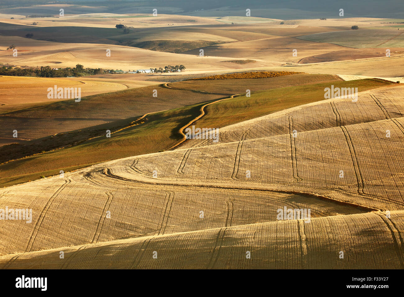 Terreni agricoli di laminazione nella regione di Overberg vicino Villiersdorp, Western Cape, Sud Africa Foto Stock
