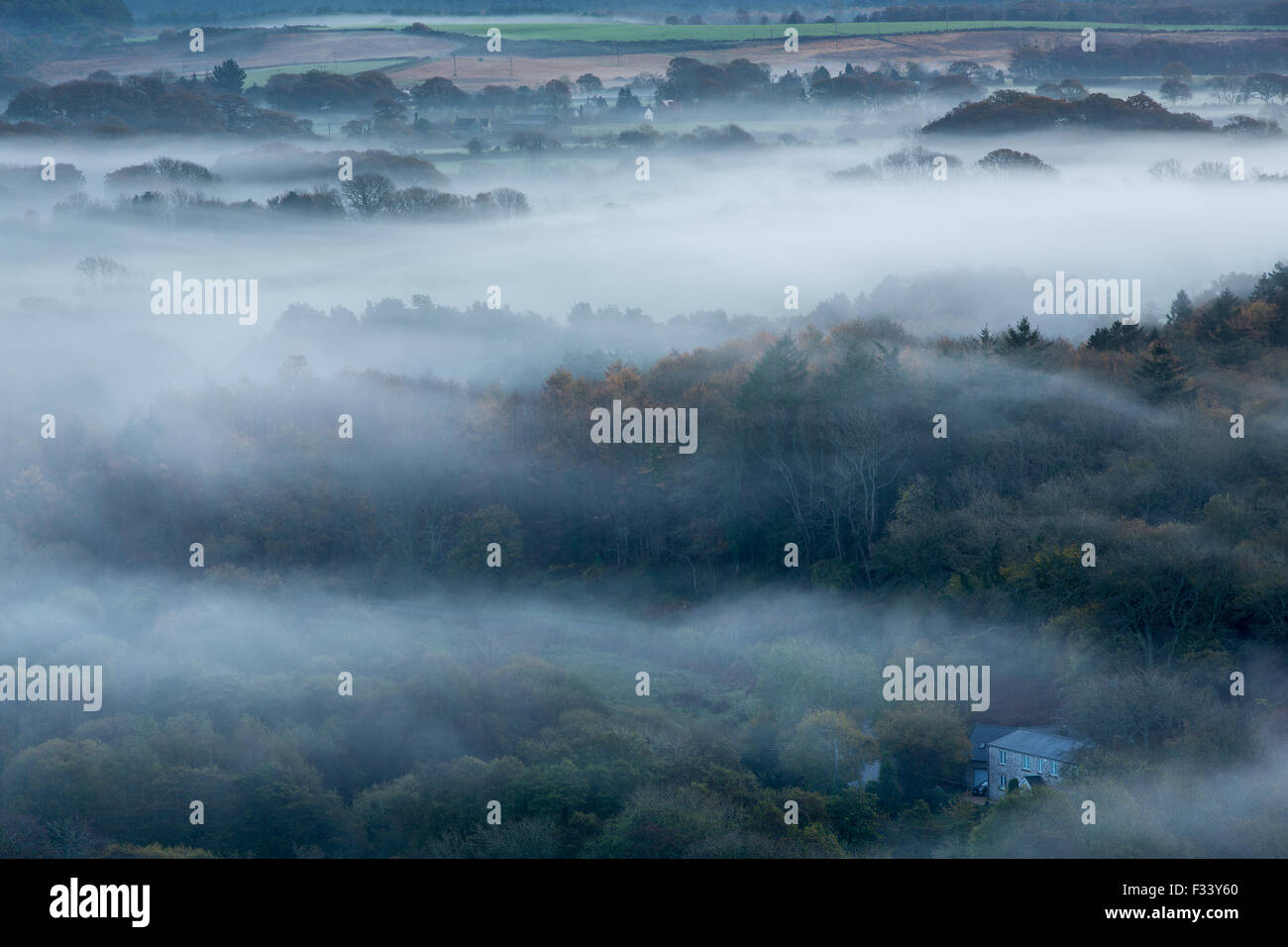L'Isola di Purbeck nelle vicinanze Corfe Castle nella nebbia all'alba, Dorset, England, Regno Unito Foto Stock