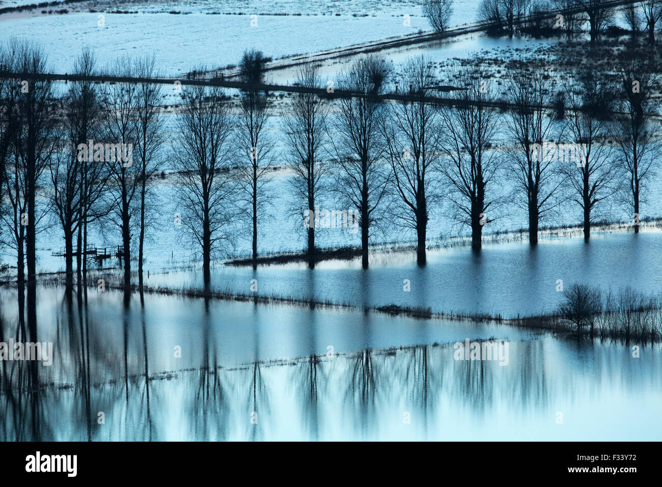 Inondazioni nr Muchelney, Somerset, Inghilterra, Regno Unito Foto Stock