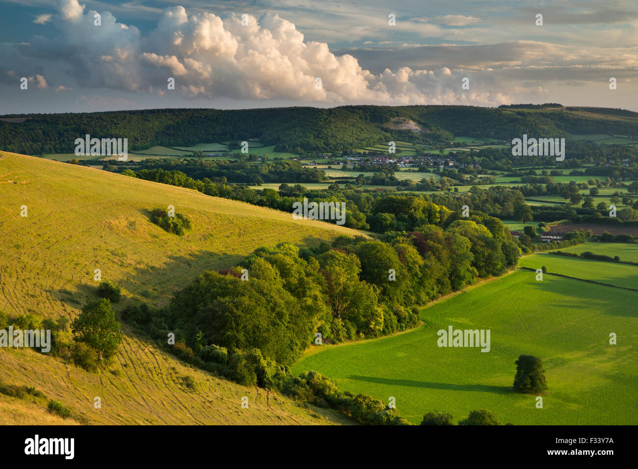 Hambledon Hill, una collina preistorica fort vicino Blandford Forum Foto Stock