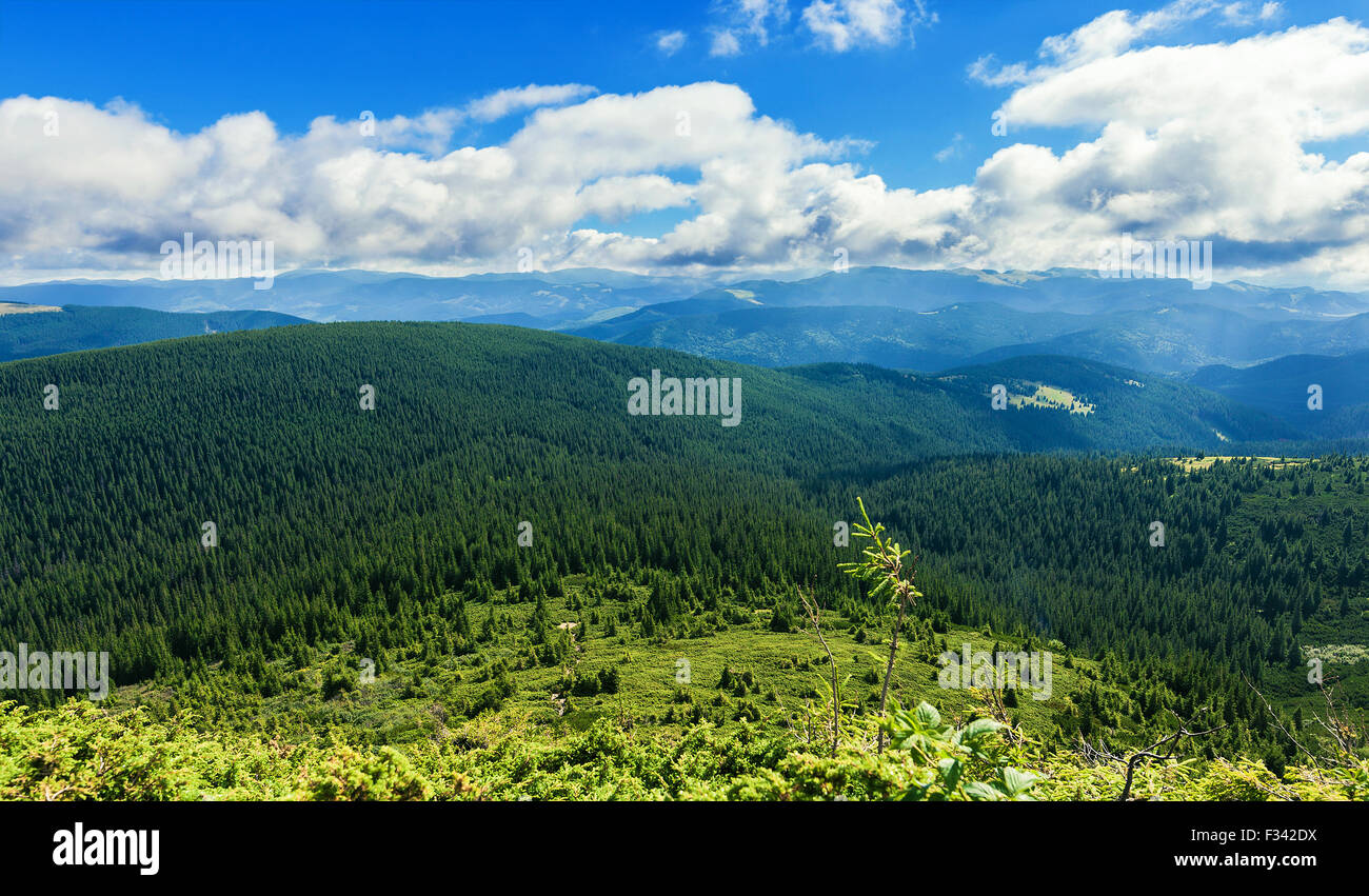 Goverla montagna estate natura paesaggio delle montagne dei Carpazi Ucraina verde erba bella sky travel foresta valle prato Foto Stock