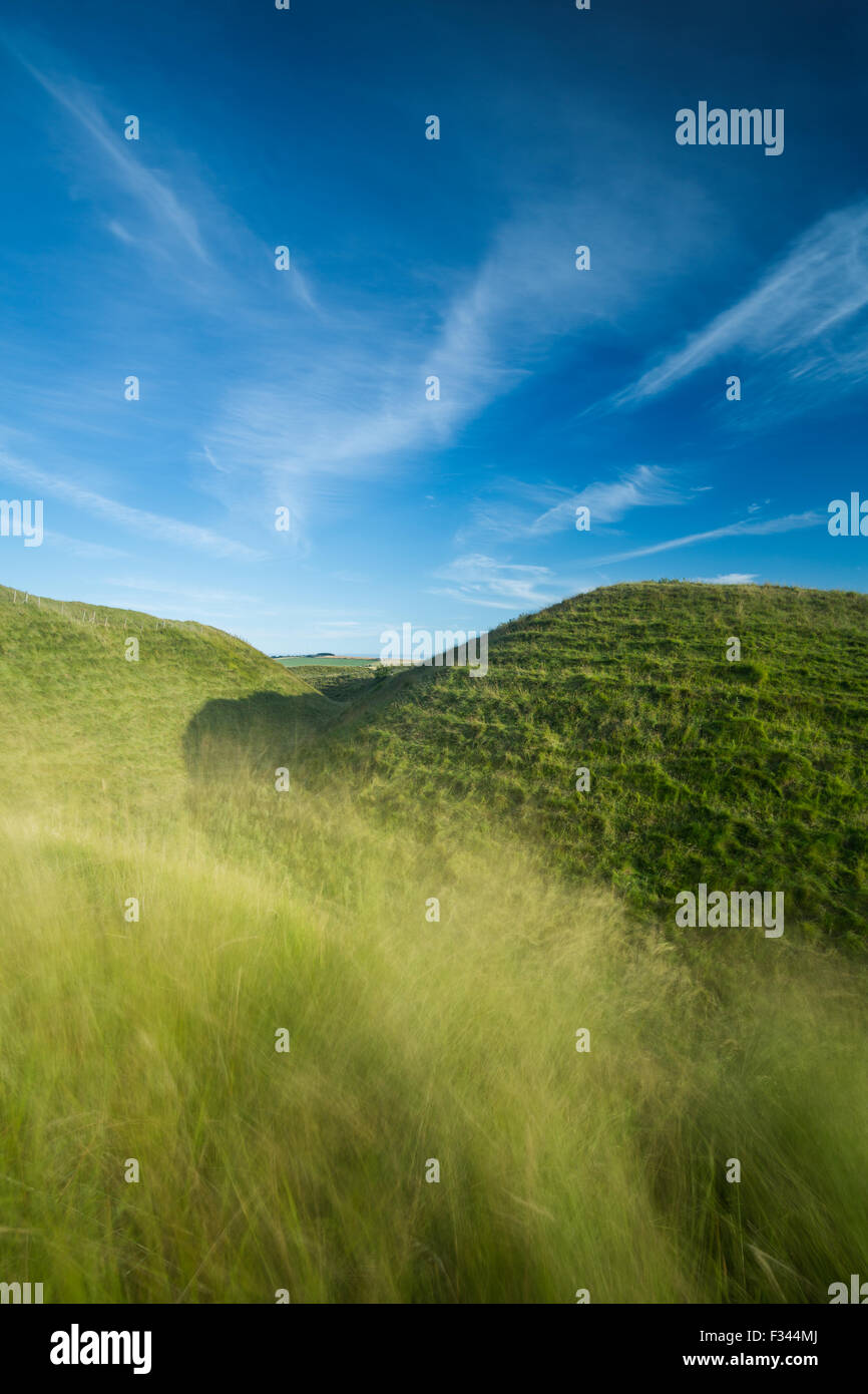 La western bastioni di Maiden Castle, un'età del ferro hill fort vicino a Dorchester Dorset, England, Regno Unito Foto Stock