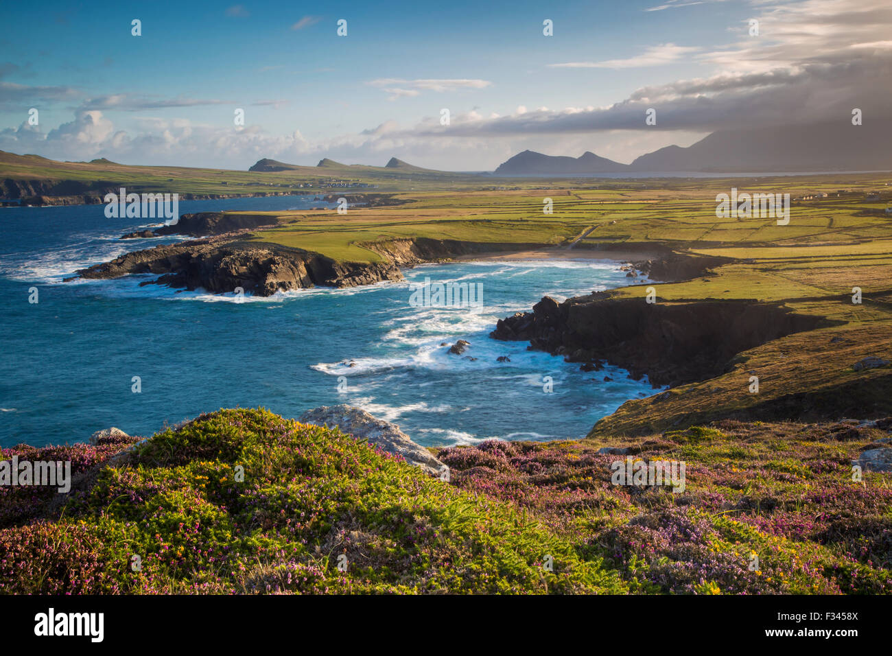Alba vista sulla baia di Ballyferriter, Sybil punto e i picchi delle Tre Sorelle, penisola di Dingle, nella contea di Kerry, Irlanda. Foto Stock