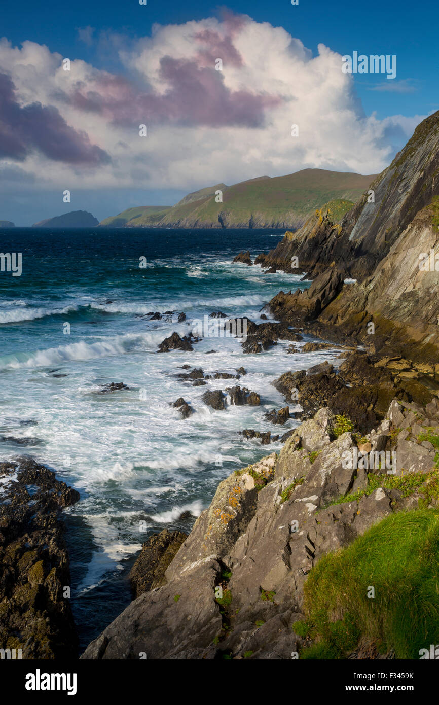 Slea testa con isole Blasket al di là, la penisola di Dingle, Repubblica di Irlanda Foto Stock