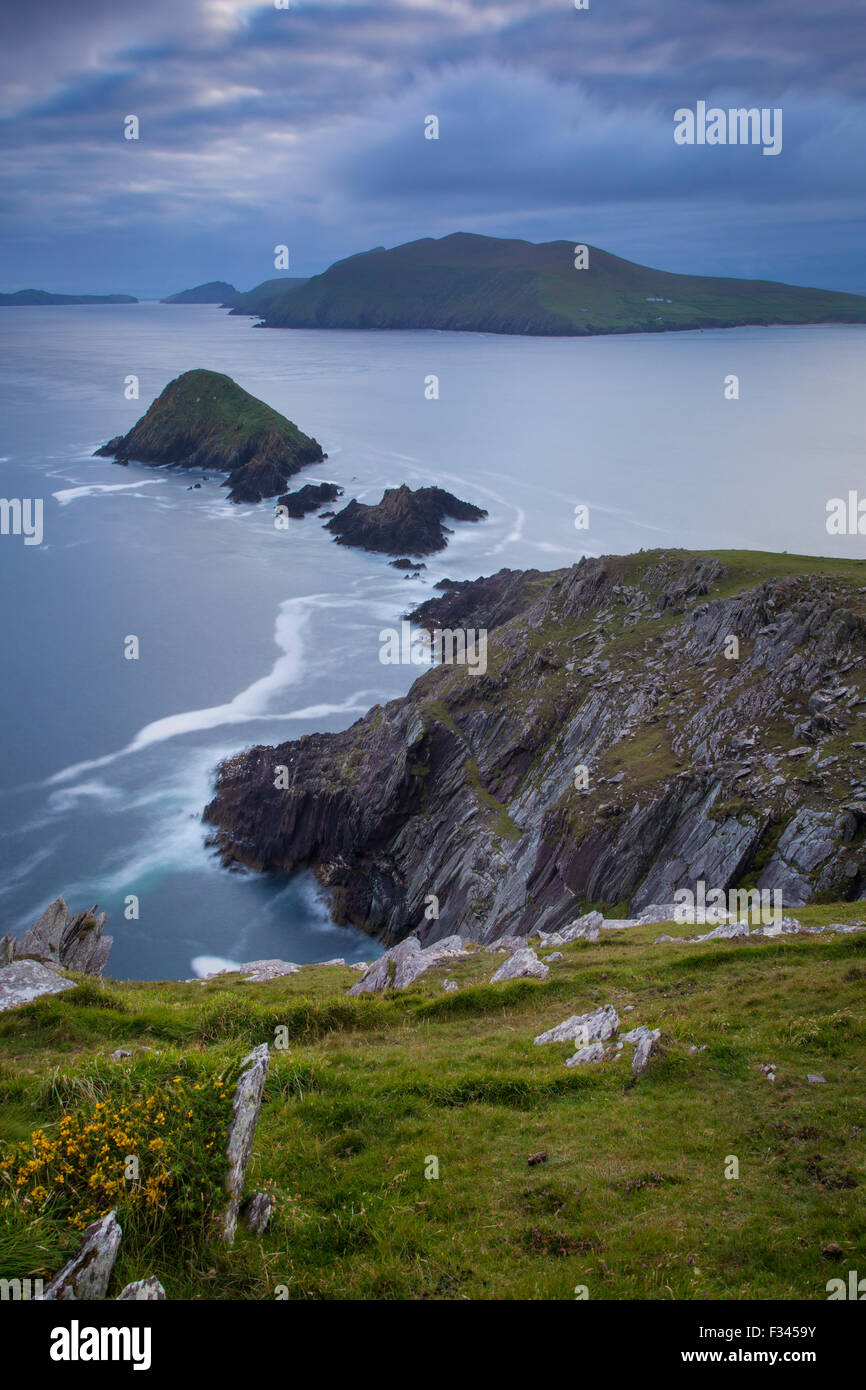 Crepuscolo sopra Dunmore testa con isole Blasket al di là, la penisola di Dingle, nella contea di Kerry, Repubblica di Irlanda Foto Stock
