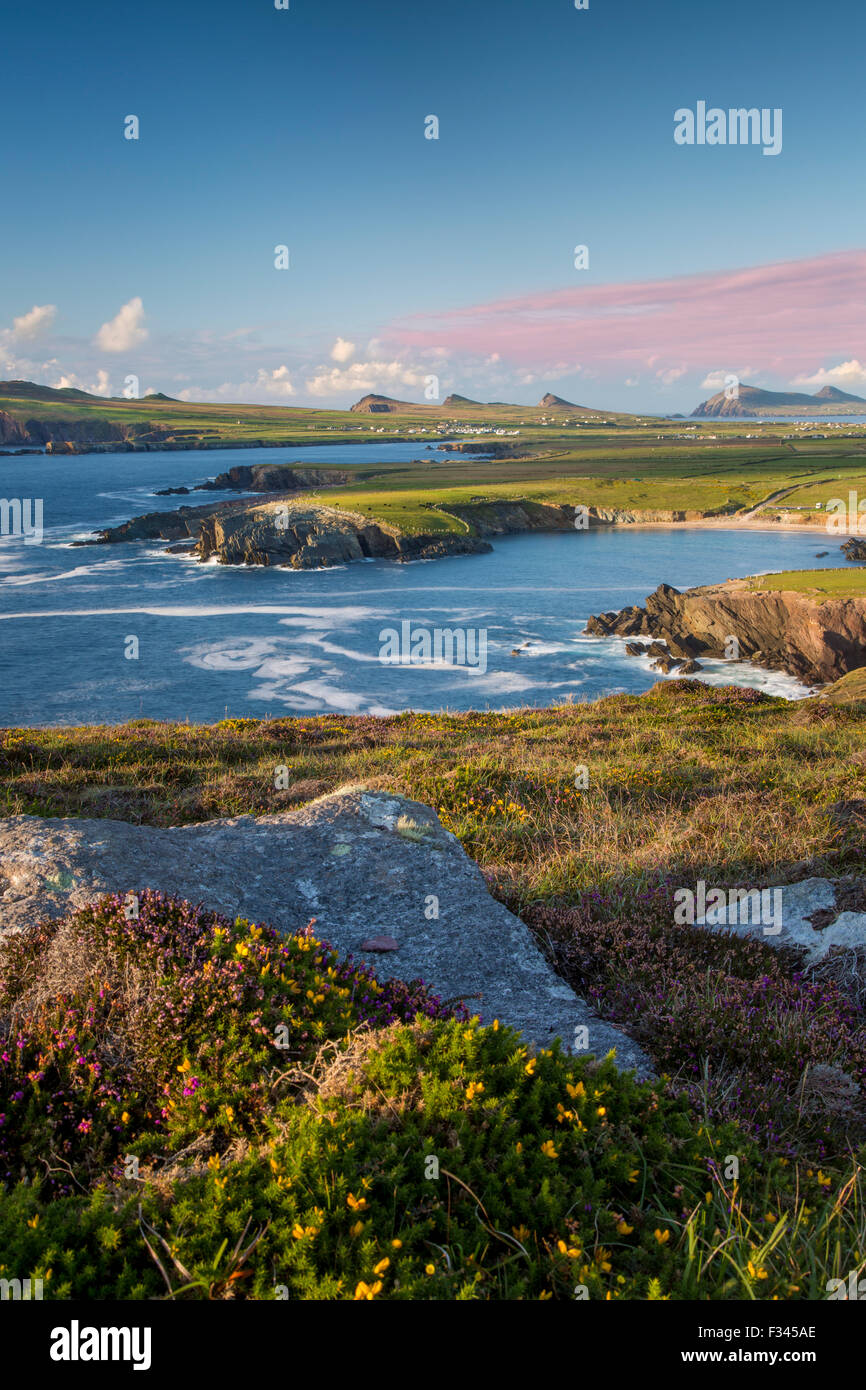 Sera La luce solare sulla baia di Ballyferriter, Sybil punto e i picchi delle Tre Sorelle, penisola di Dingle, nella contea di Kerry, Irlanda Foto Stock