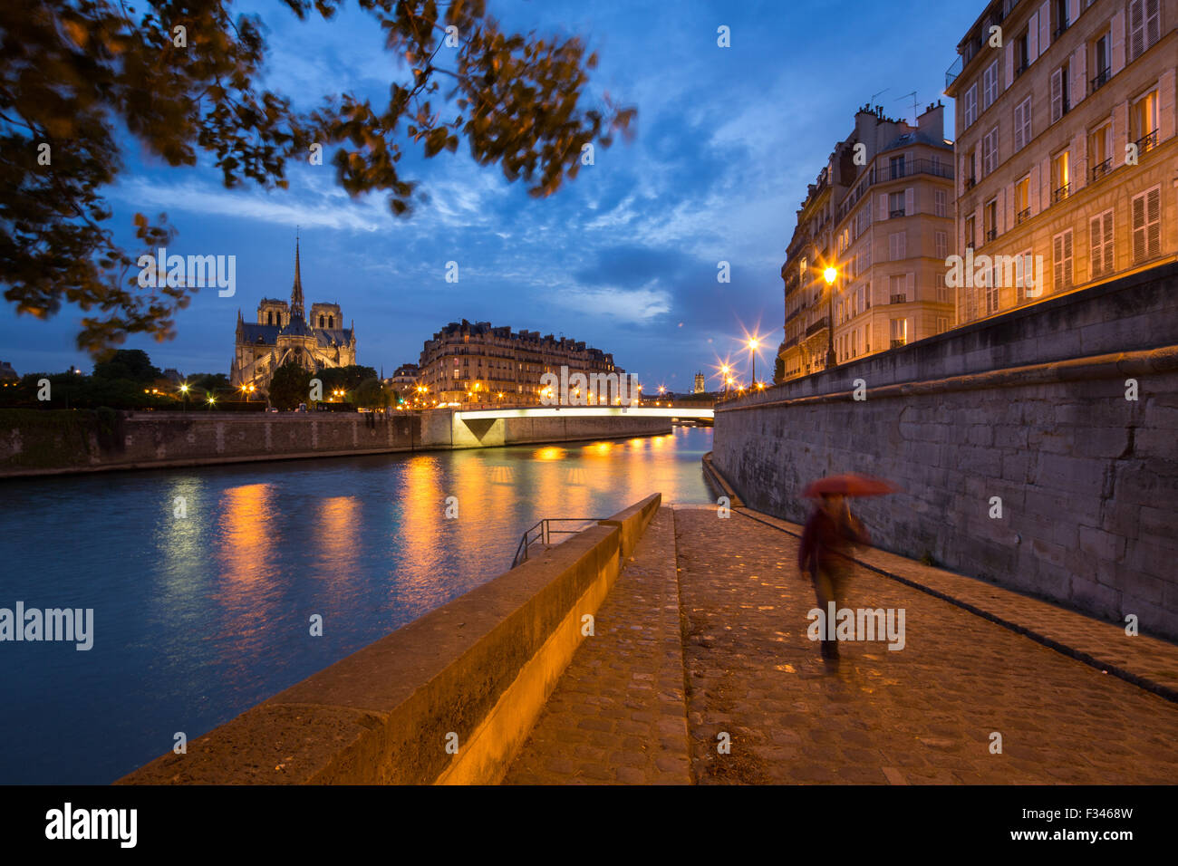 La cattedrale di Notre Dame e l'Île de la Cité da Ile St Louis di notte, Parigi, Francia Foto Stock