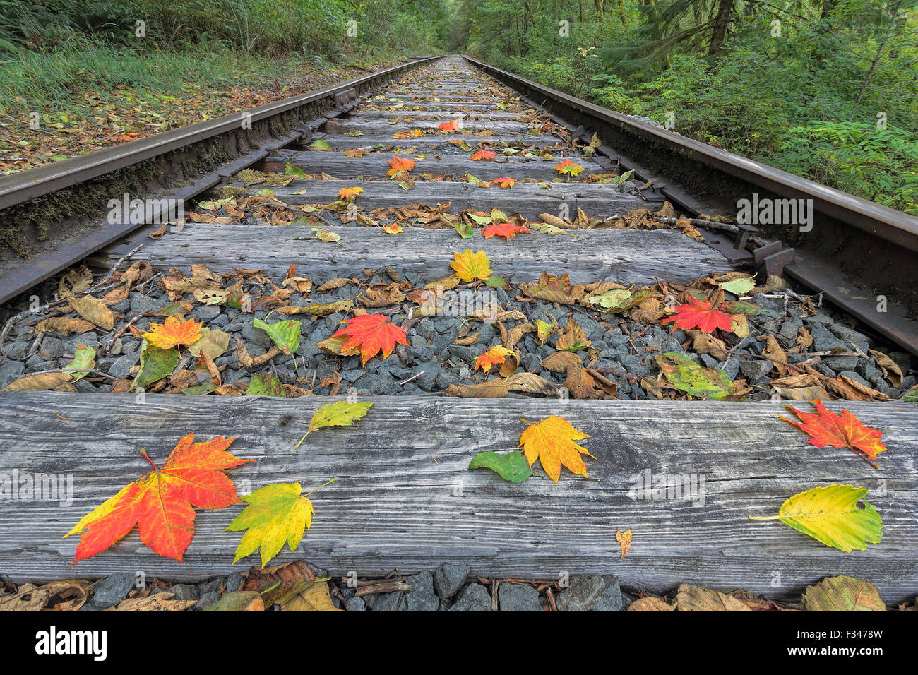 Convoglio ferroviario via con colorati cadono le foglie in autunno Foto Stock