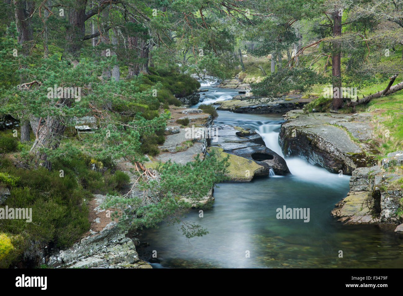 La Lin di Quoich, Deeside, Aberdeenshire, Scozia Foto Stock