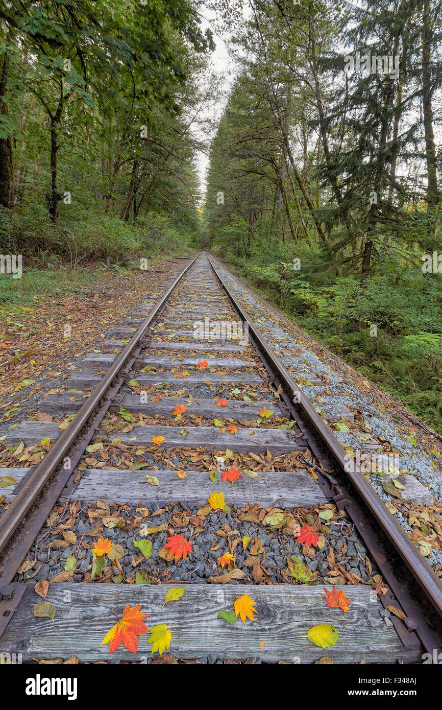Convoglio ferroviario via con colorati cadono le foglie in autunno in verticale Foto Stock