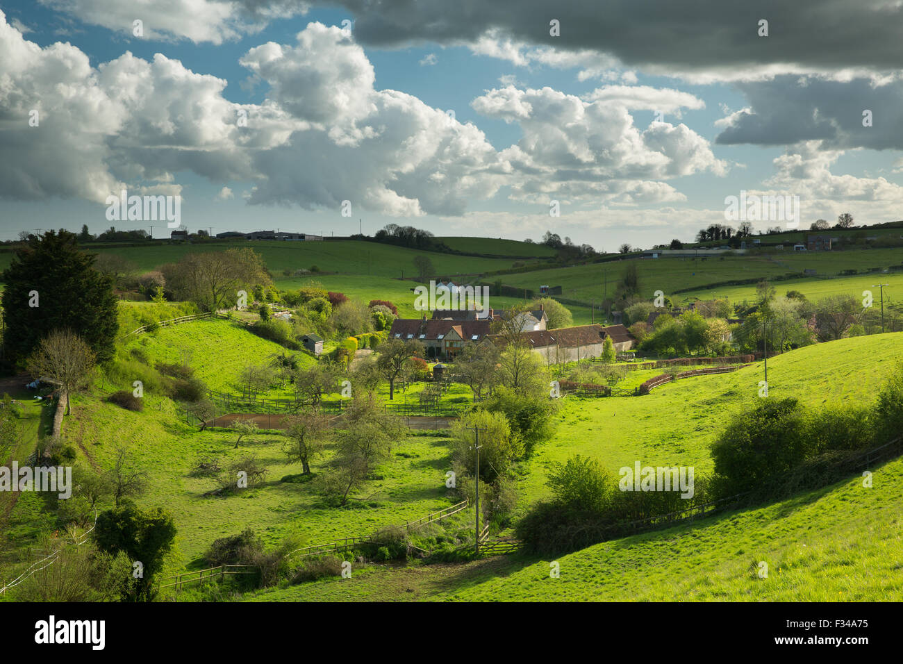 Milborne stoppino, Somerset, Inghilterra, Regno Unito Foto Stock