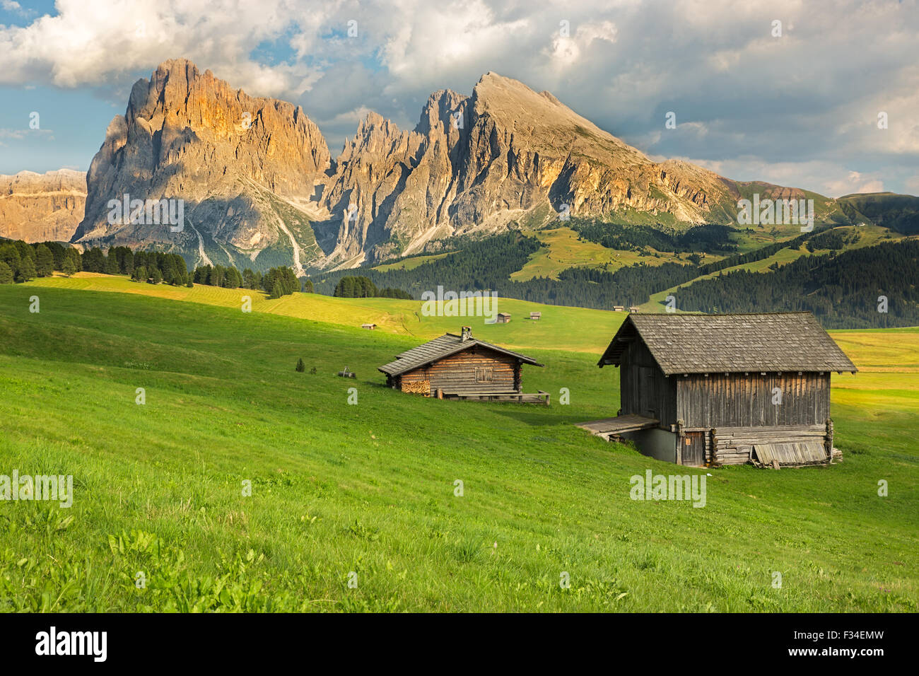 Gruppo del Sasso Lungo a Alpe di Siusi Alto Adige - Italia Foto Stock
