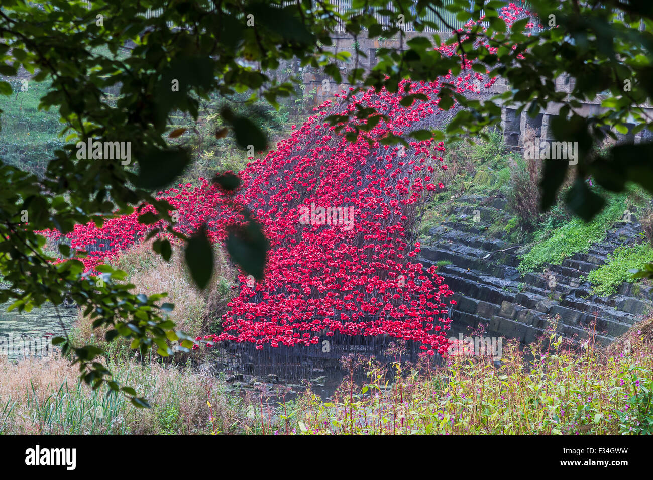 Papaveri in ceramica che compongono il "Wave" a Yorkshire Sculpture Park visto attraverso un albero. Foto Stock