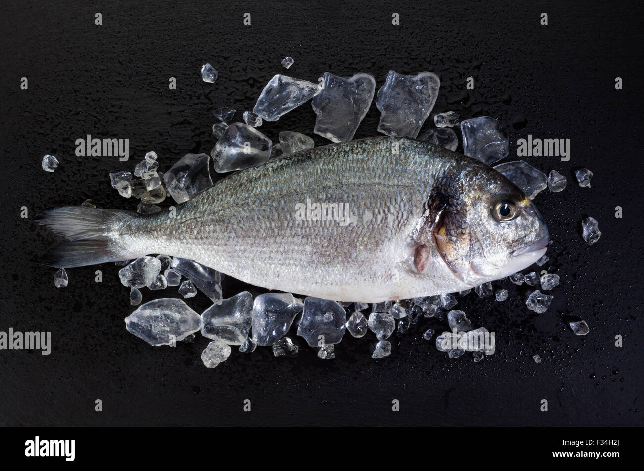 Fresh orata pagello con ghiaccio tritato su sfondo di ardesia Foto Stock
