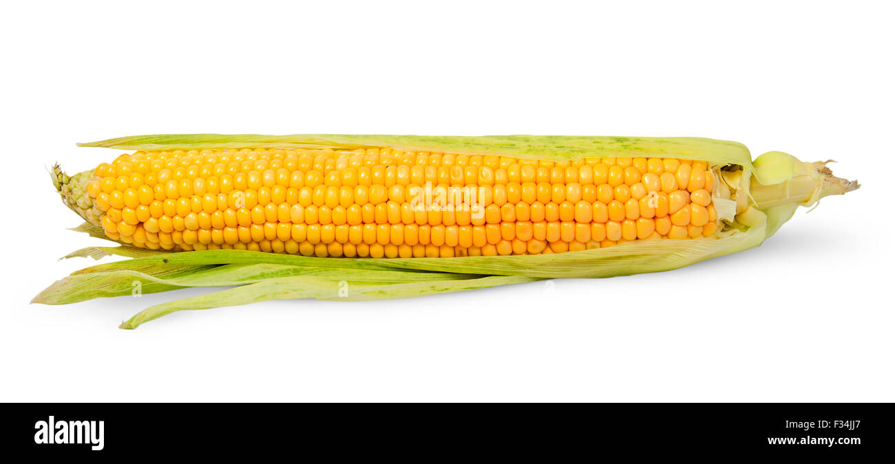 Singola mezza sbucciata spiga del granoturco isolati su sfondo bianco Foto Stock