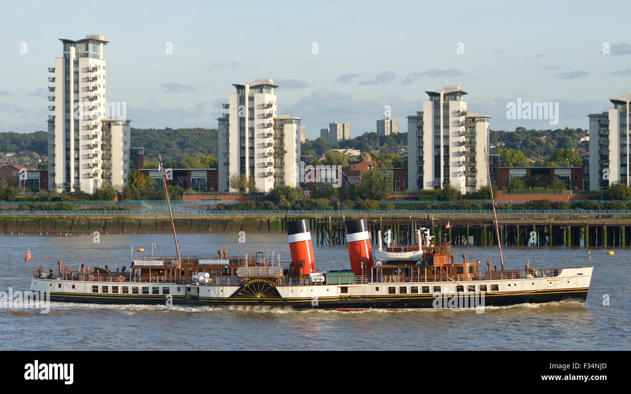 Battello a Vapore Waverley rendendo un tardo pomeriggio eseguite fino al fiume Tamigi a Londra Foto Stock