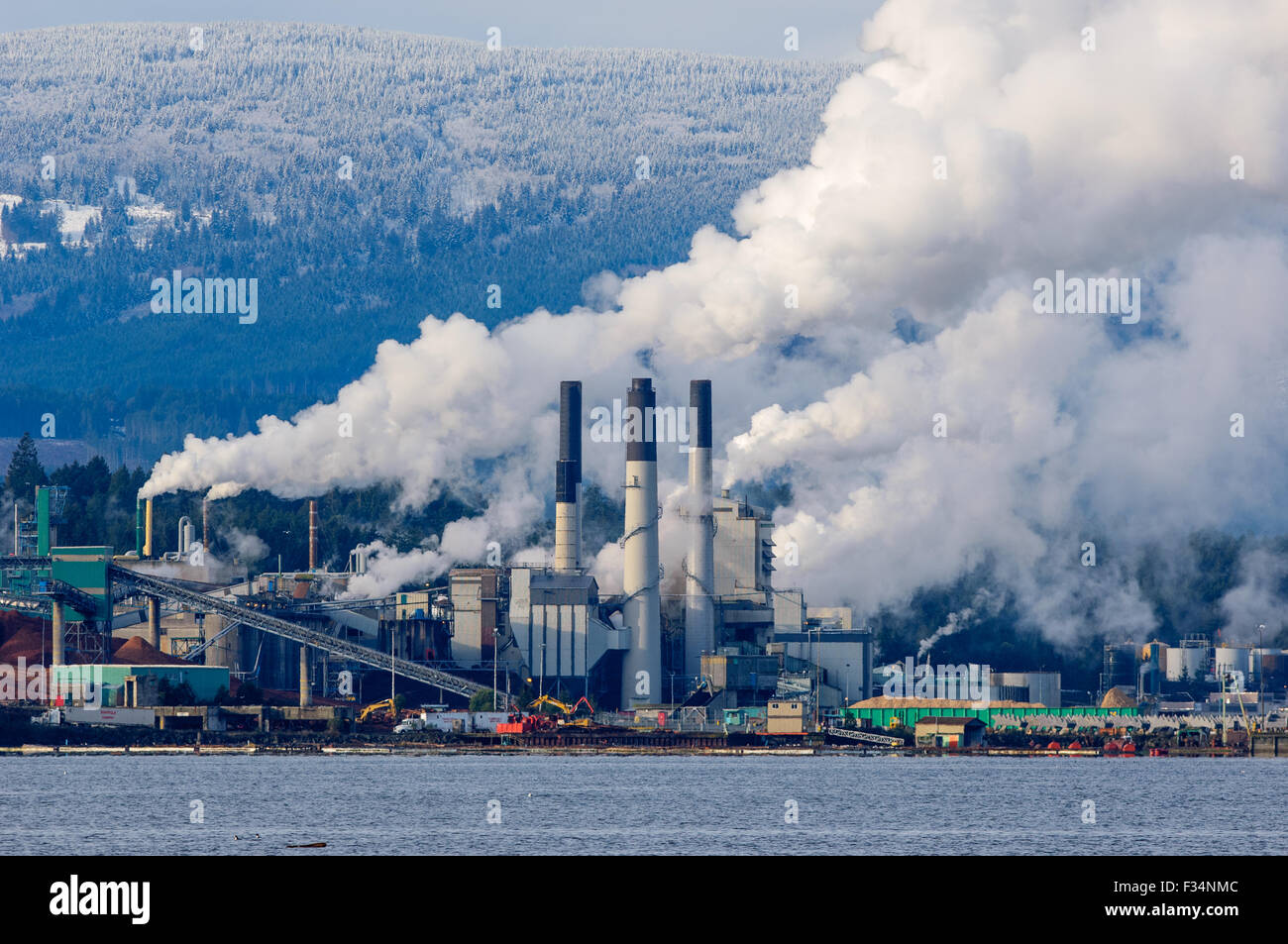 Harmac Mulino, di Nanaimo nella British Columbia, Canada contro uno sfondo di coperta di neve sulle colline. Foto Stock